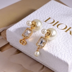 Christian Dior Earrings